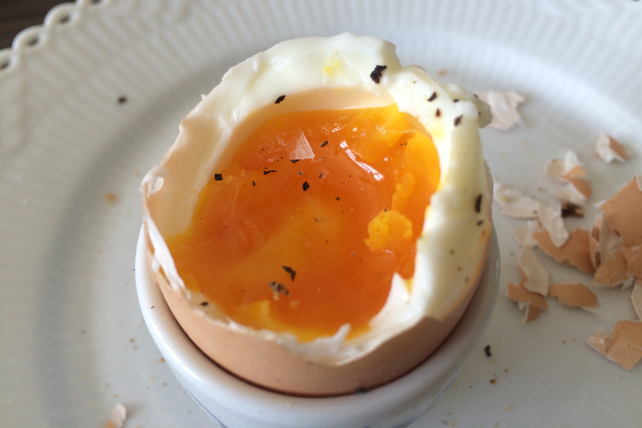 Økologisk hønseæg