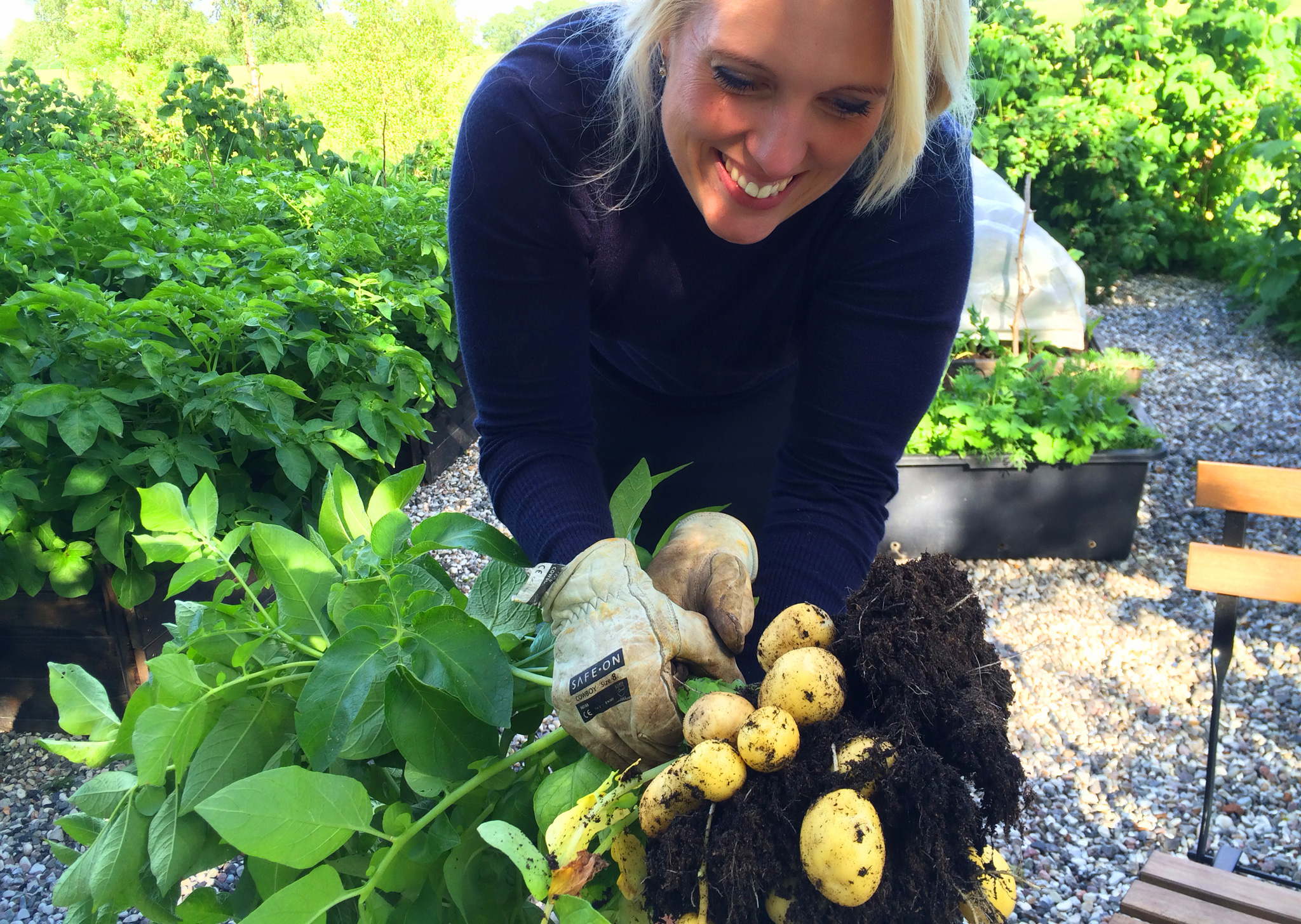 Kvinde med nye kartofler